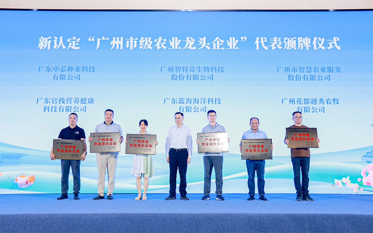 直击现。」阒菔形逦迨兰头务股份有限公司作为市级农业龙头企业代表获授牌匾！