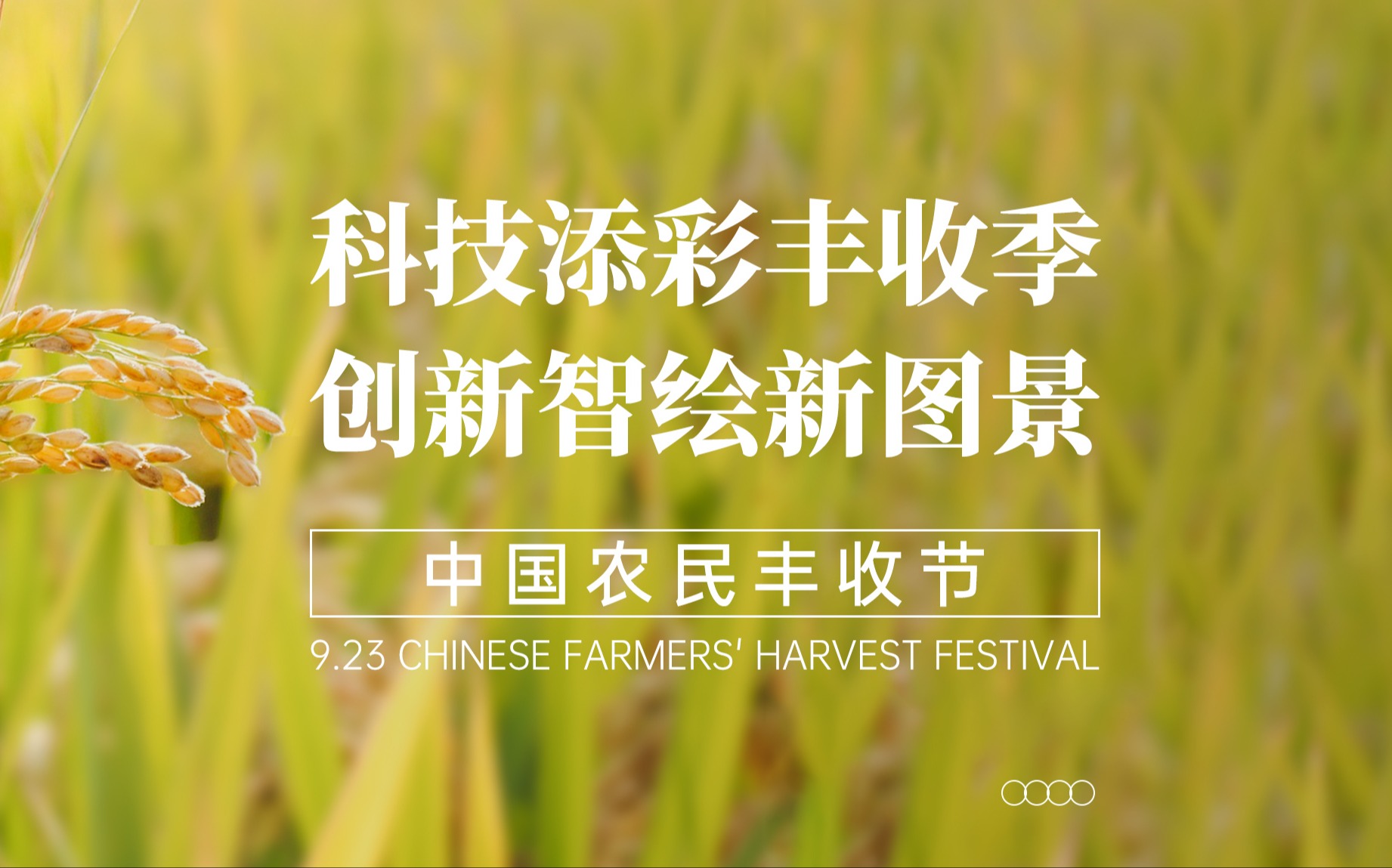 科技添彩丰收季，创新智绘新图景！